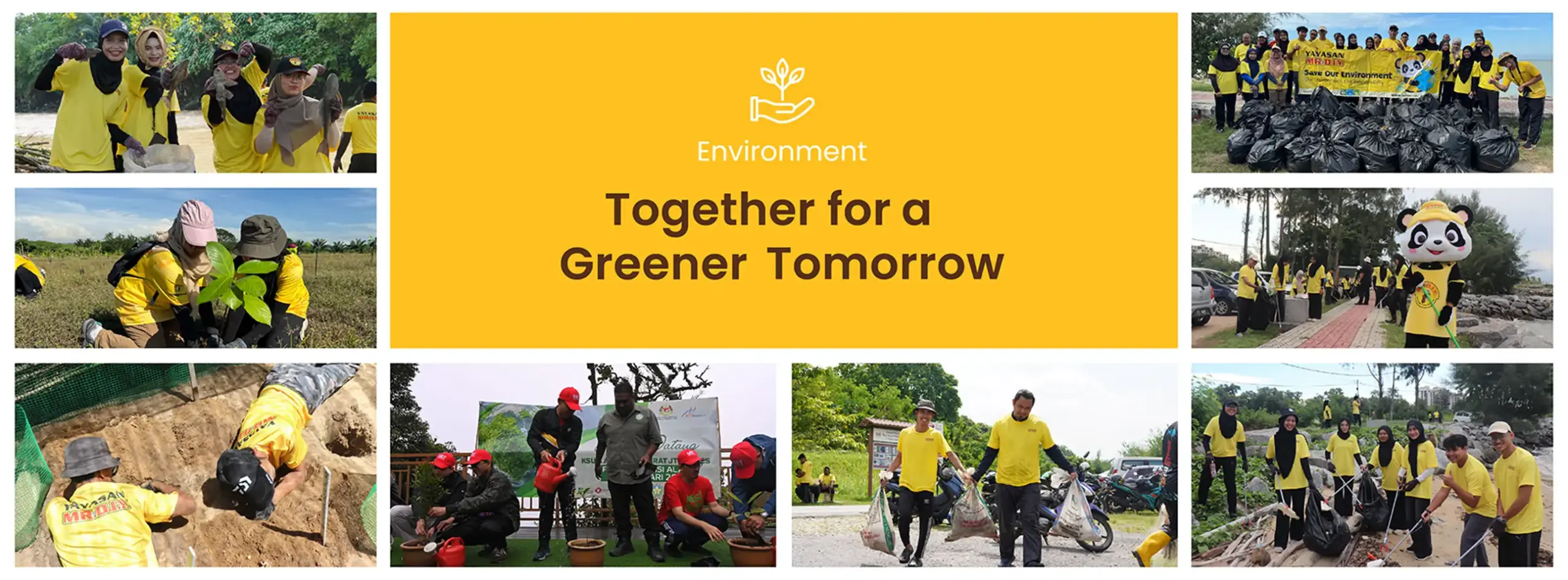 banner-website-environment