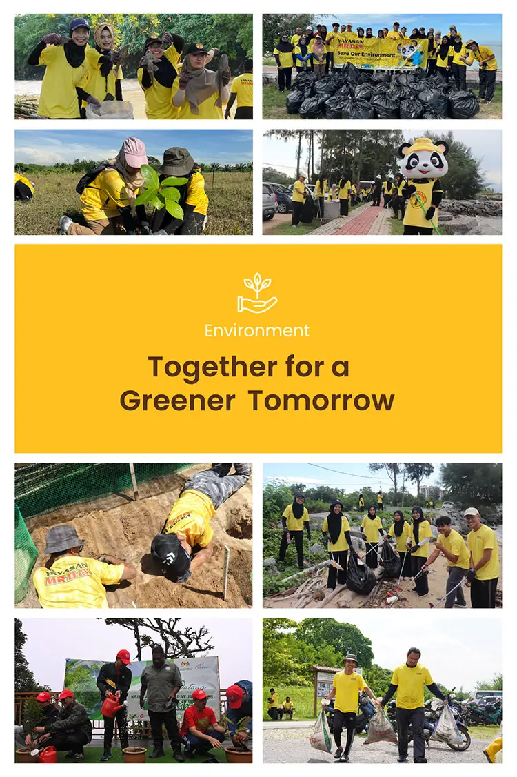 potrait-banner-website-environment